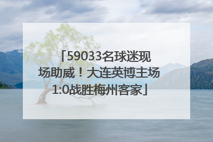 59033名球迷现场助威！大连英博主场1:0战胜梅州客家