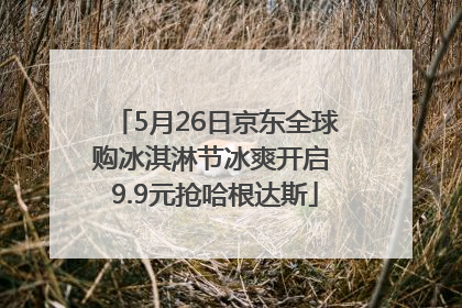 5月26日京东全球购冰淇淋节冰爽开启 9.9元抢哈根达斯