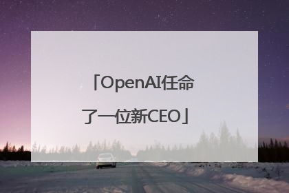 OpenAI任命了一位新CEO