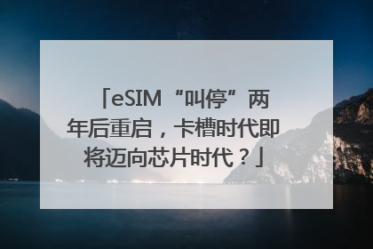 eSIM“叫停”两年后重启，卡槽时代即将迈向芯片时代？